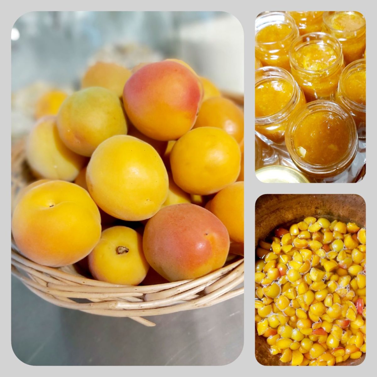 Soft set Apricot, lime and vanilla jam